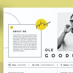 Accountant Marketing CV Resume Word Template