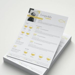 Bluish – CV Resume