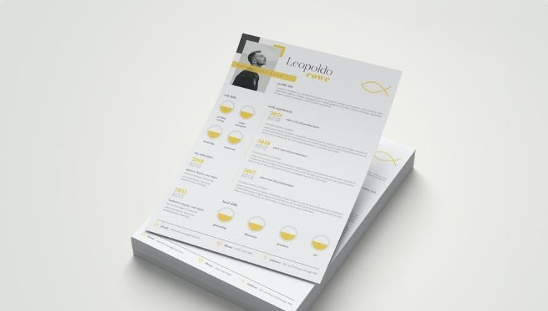 Bluish – CV Resume